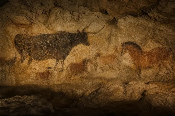Chevaux et aurochs peints en ocre et noir sur la paroi calcaire de la salle des Taureaux de Lascaux.
