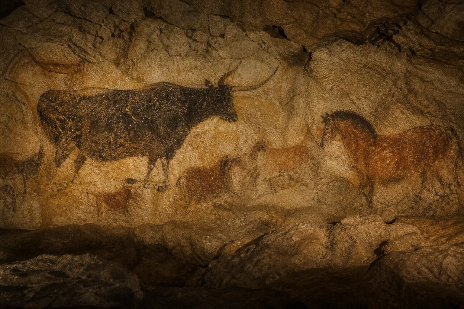 Chevaux et aurochs peints en ocre et noir sur la paroi calcaire de la salle des Taureaux de Lascaux.