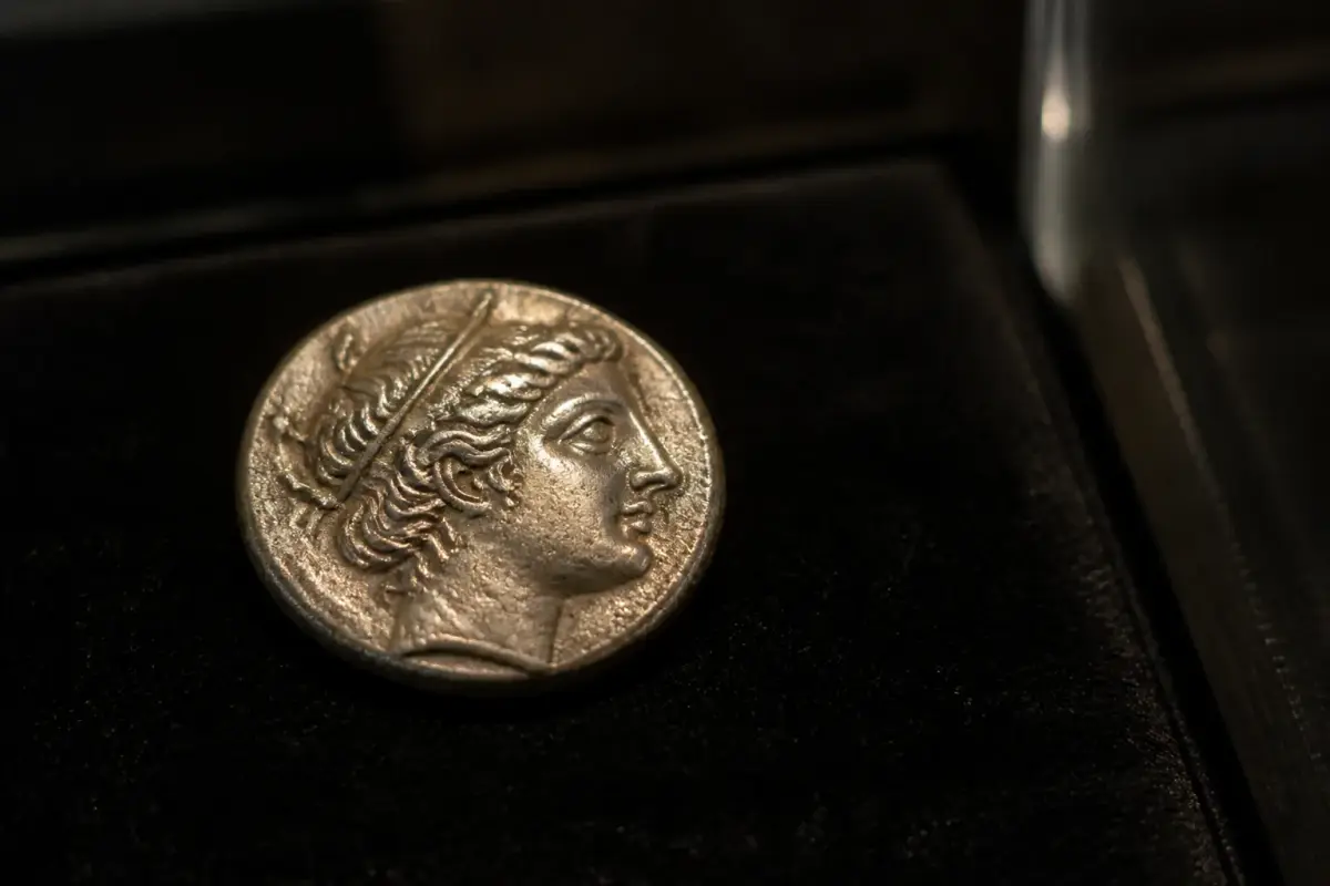 Drachme d'argent de Massalia à la tête d'Artémis, posée sur un fond sombre de vitrine.